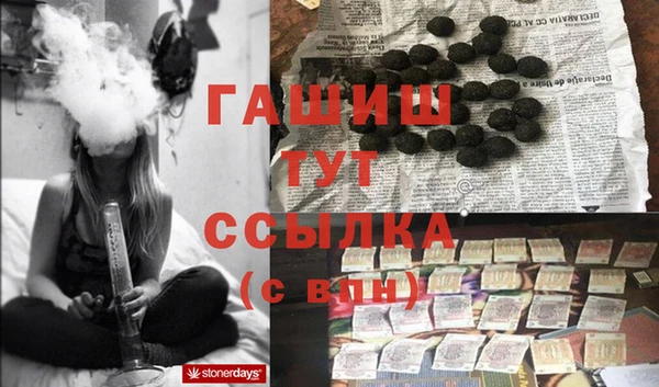 шишки Белокуриха