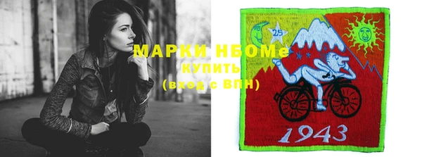 шишки Белокуриха