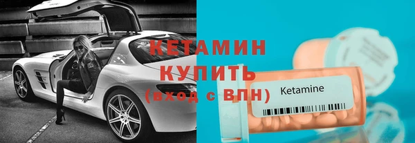 шишки Белокуриха