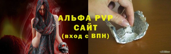 ECSTASY Богородицк