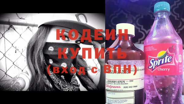шишки Белокуриха