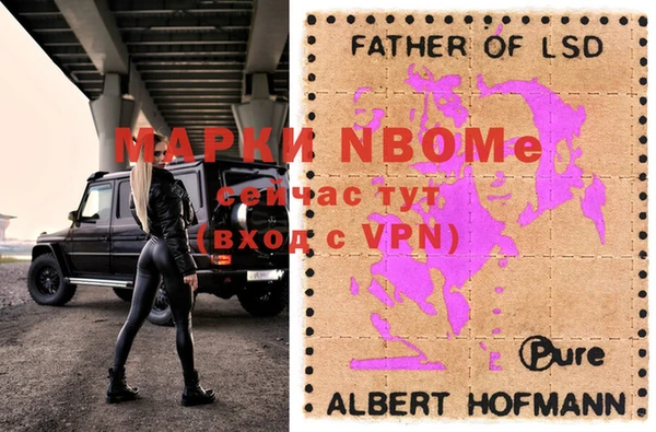шишки Белокуриха