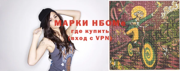 ECSTASY Богородицк