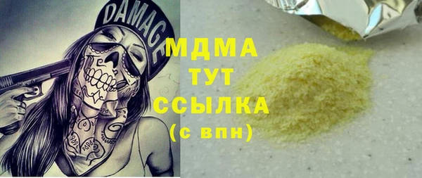 шишки Белокуриха