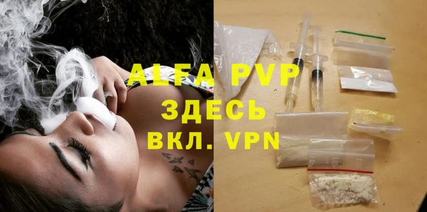 шишки Белокуриха