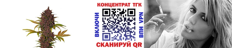 где найти   Сызрань  ТГК гашишное масло 